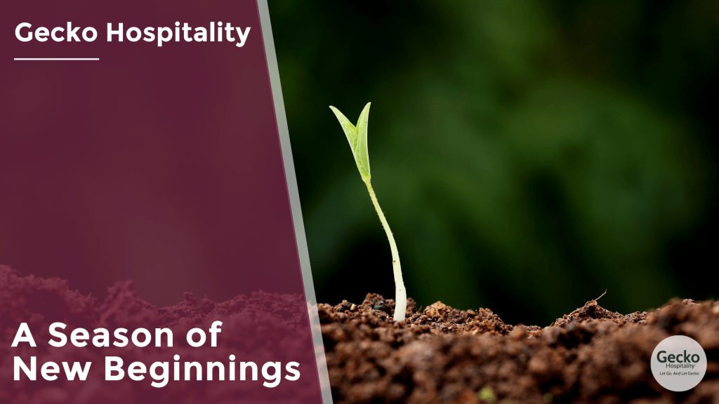 A Season of New&nbsp;Beginnings